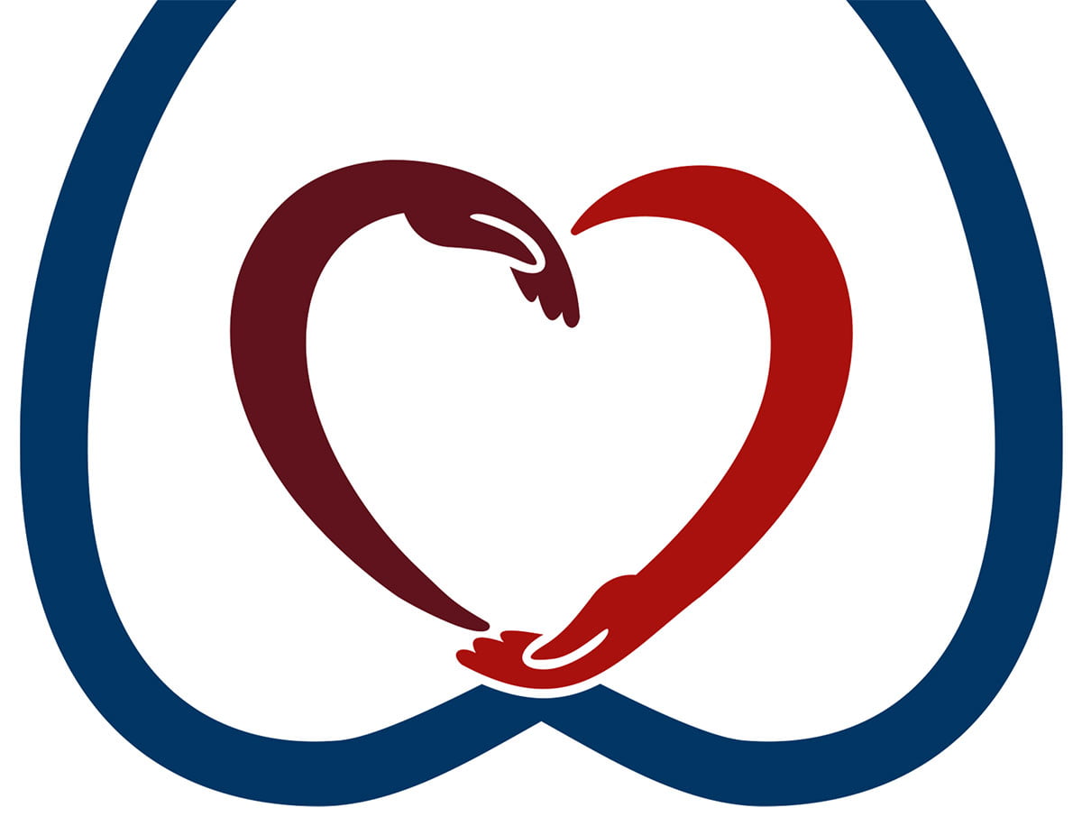 Auxilia nonprofit donor management software for fundraising and supporter engagement